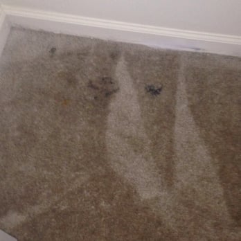 Fox Run Apartment Homes - Carpet - Apartments Near Me - Bear, Delaware Fox Run Apartment Homes - Carpet - Apartments Near Me - Bear, Delaware