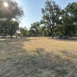 Bark Park - Wide open space for lots of dogs.