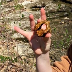 Big Rock Candy Mountain Retreat