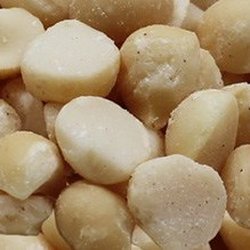 Tropical Seeds Kingdom - MACADAMIA NUTS FOR SALE