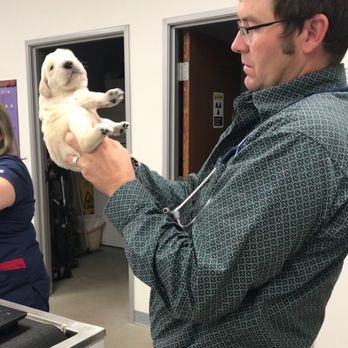 HASLET VETERINARY CLINIC - Meet Dr. Toby Connolly - Veterinarians Near Me - Haslet, Texas HASLET VETERINARY CLINIC - Meet Dr. Toby Connolly - Veterinarians Near Me - Haslet, Texas