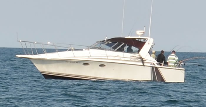 Son Set Charter Fishing Logo