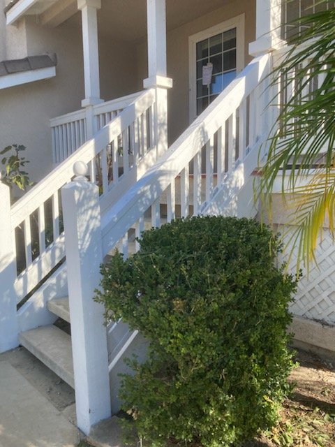 Slide of POW! Bug Squad