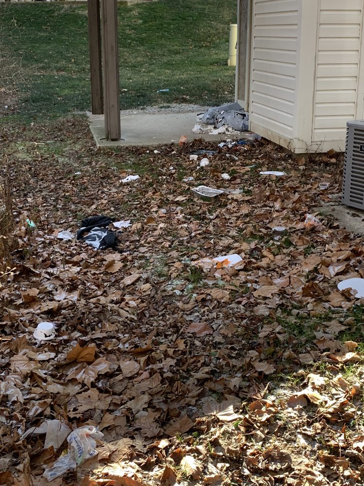 SCANDIA APARTMENTS Updated May 2024 79 Photos & 47 Reviews 9250