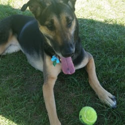 Hazel Park Dog Park - The Baby.