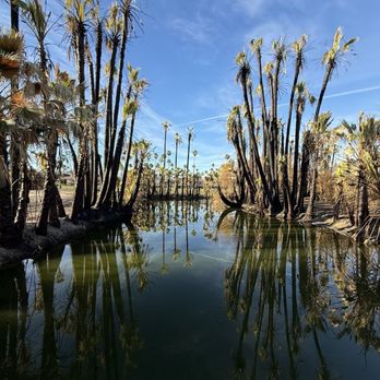 Prescott Preserve - Homeless fire - Hiking Near Me - Palm Springs, California Prescott Preserve - Homeless fire - Hiking Near Me - Palm Springs, California