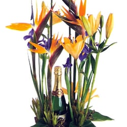Rose Bay Florist & Nursery