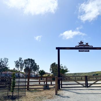 Catalina Island - Vineyard (not open to public) - Local Flavor Near Me Catalina Island - Vineyard (not open to public) - Local Flavor Near Me