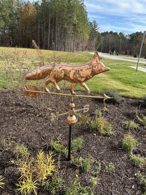 Hidden Wit Brewing Company by null