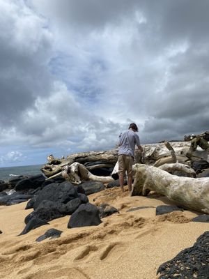 Kauai Shores Hotel by null