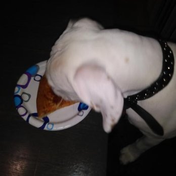 Pizza Hut - my now deceased dog - Pizza Near Me - Winnipeg, Manitoba Pizza Hut - my now deceased dog - Pizza Near Me - Winnipeg, Manitoba