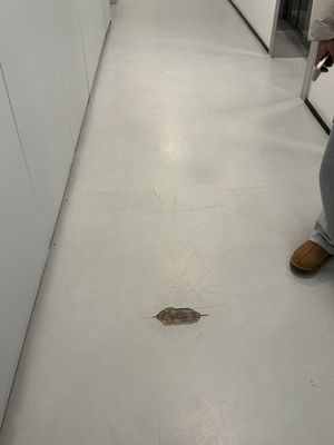 Urban Residences Rotterdam by null