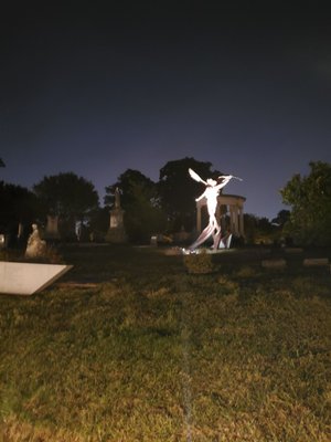 Elmwood Cemetery by null