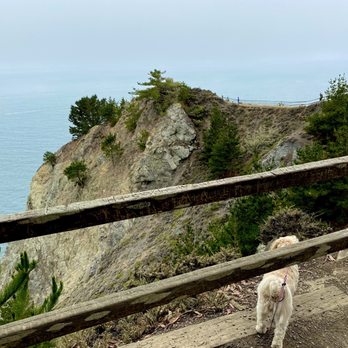 Muir Beach Overlook - Stay on the path! - Parks Near Me - Muir Beach, California