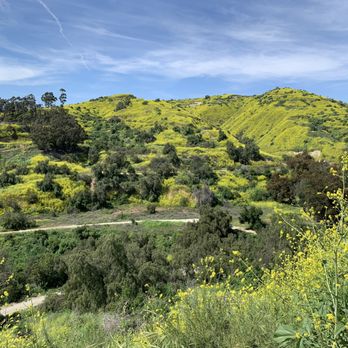 Arroyo Pescadero Park - The hills are alive with the sound of.... - Hiking Near Me - Whittier, California
