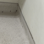 Photo of County of Colusa