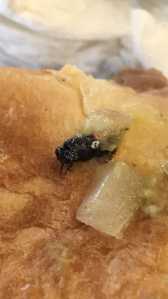 LA FONDA TAQUERIA Y MARISCOS 15 Photos & 23 Reviews Mexican 1001