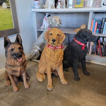 4 Paws Coffee Co. - Dog Theme - Coffee & Tea Near Me - Palm Springs, California