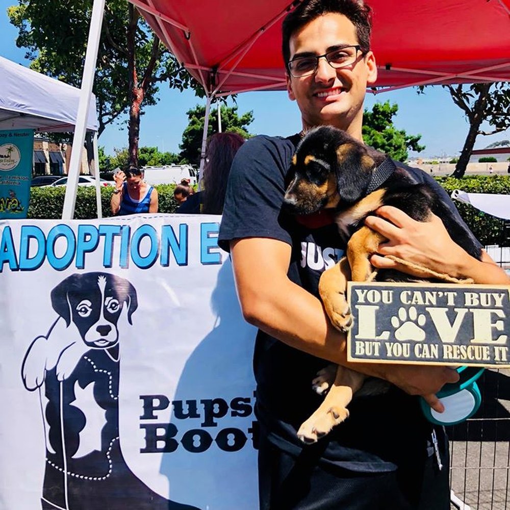 Pups’n Boots - Pet Adoption Near Me Pups’n Boots - Pet Adoption Near Me