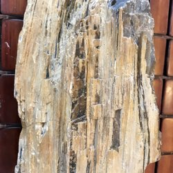 K & M Jewelers - Petrified wood