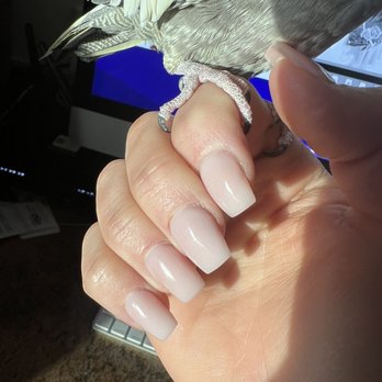 K Nails & Spa - Nails - Nail Salons Near Me - Butte, Montana K Nails & Spa - Nails - Nail Salons Near Me - Butte, Montana