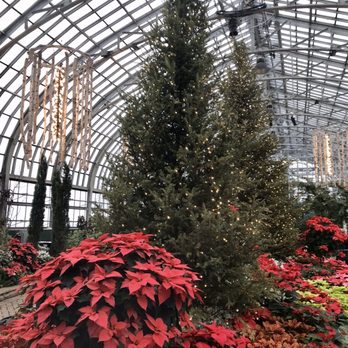 Garfield Park Conservatory - Show room with winter theme - Parks Near Me - Chicago, Illinois