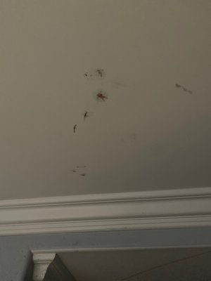 Driftwood Motel by null