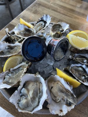 Point Loma Fish Shop by null