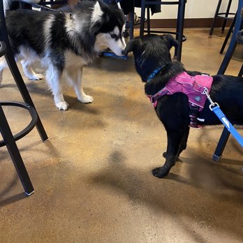 Boxing Bear Brewing - Bridges On Tramway Taproom - Making friends - Brewpubs Near Me - Albuquerque, New Mexico Boxing Bear Brewing - Bridges On Tramway Taproom - Making friends - Brewpubs Near Me - Albuquerque, New Mexico