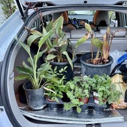 The Standard Design Group Nurseries - Our end haul...