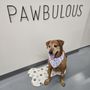 Photo of Pup Scrub & Groom