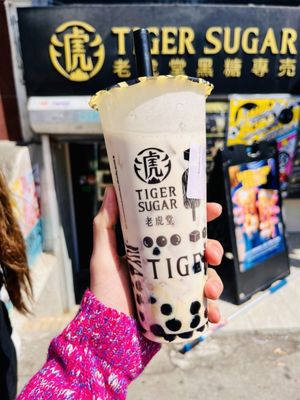 TIGER SUGAR by null