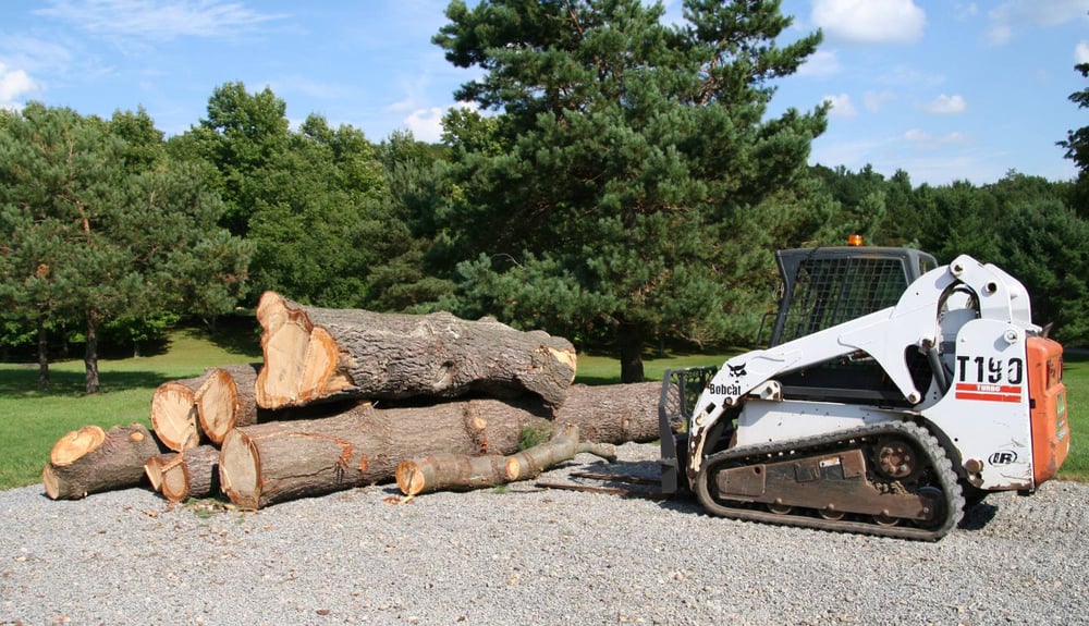 Arrow Tree Service - tree service in Springfield, MA