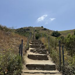 Baldwin Hills Scenic Overlook State Park photo 10