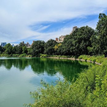 Central Park Conservancy - Instagram: @telephonesmoothie - Parks Near Me - New York, New York Central Park Conservancy - Instagram: @telephonesmoothie - Parks Near Me - New York, New York