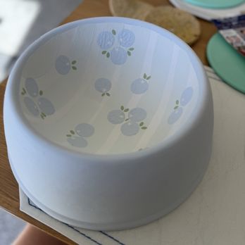 Color Me Mine - Dog bowl - Paint-Your-Own Pottery Near Me - Rocklin, California