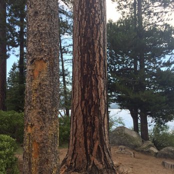 Donner Memorial State Park - Find your peace amongst the pines. - Parks Near Me - Truckee, California Donner Memorial State Park - Find your peace amongst the pines. - Parks Near Me - Truckee, California