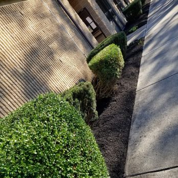 Shirley B Foster Elementary School - Lando Landscaping done a outstanding job - Elementary Schools Near Me - Chesilhurst, New Jersey Shirley B Foster Elementary School - Lando Landscaping done a outstanding job - Elementary Schools Near Me - Chesilhurst, New Jersey