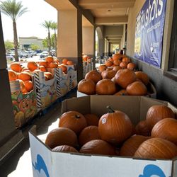 Albertsons