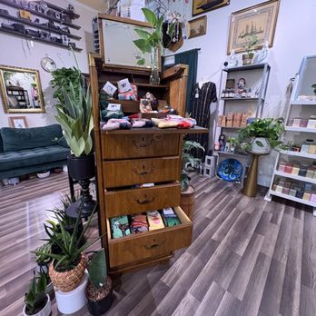 Succulents & More - Home Decor Near Me - Benicia, California Succulents & More - Home Decor Near Me - Benicia, California