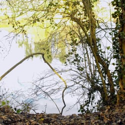 Parc du Héron