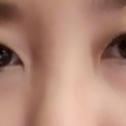 Lashes Lashes