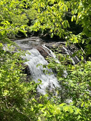 Fall Creek Falls by null