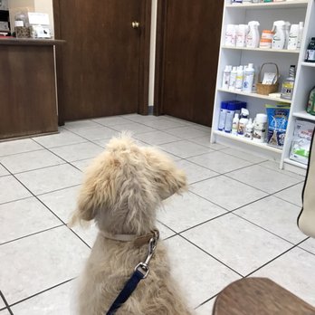 sandhill animal hospital