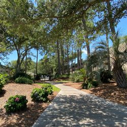 Finn's Island Retreat - Walking to pool