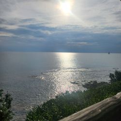 Il Cardellino - Vista sul mare dalla terrazza esterna