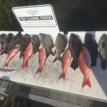 Tex's Tackle And Bait - Nice reef run - Hunting & Fishing Supplies Near Me - Wilmington, North Carolina Tex's Tackle And Bait - Nice reef run - Hunting & Fishing Supplies Near Me - Wilmington, North Carolina