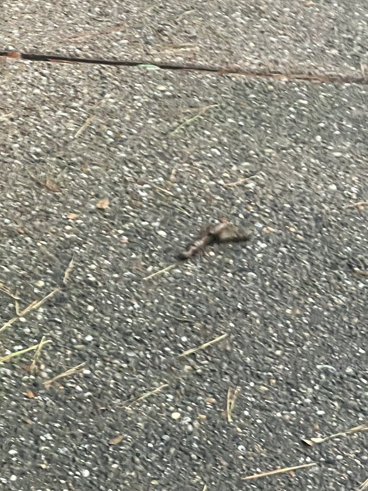 DEL PRADO AT TEXAS STAR APARTMENTS Updated September 2024 928 Del