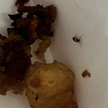 Combo Express - Bug with the food. - Seafood Near Me - Vallejo, California