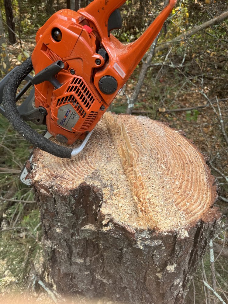 CMP TREE CARE SOLUTIONS Updated January 2025 Covington,